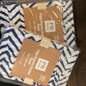 Pottery Barn Teen Ziggy pillow shams
